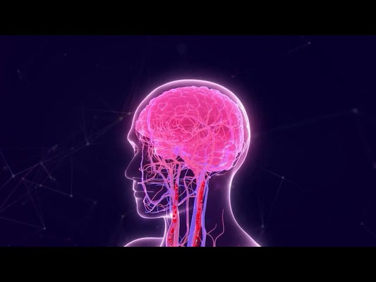 CerebralFit Complete Treats Dementia And Optimizes Cognitive Performance.